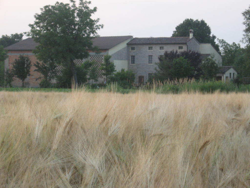 Villa Agriturismo La Rovere Cesole Exterior foto